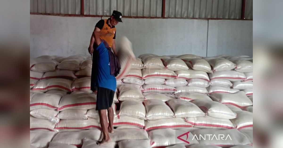 Bulog Indramayu Capai 75 Persen Target Serapan Gabah dan Beras