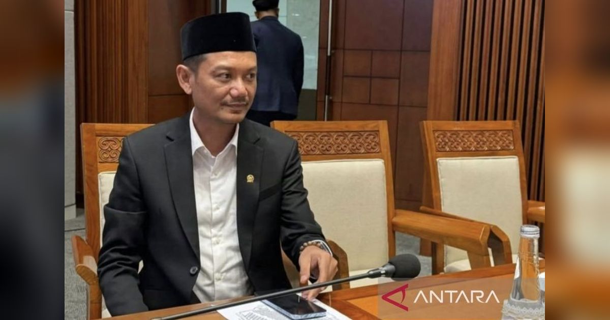 Premanisme Berkedok Ormas: Penyakit Sosial yang Harus Diberantas, Kata DPR