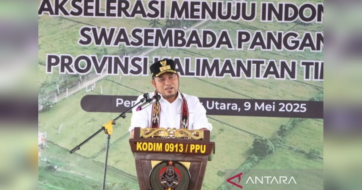 Kaltim Kawal Swasembada Pangan: Modernisasi Pertanian Jadi Kunci