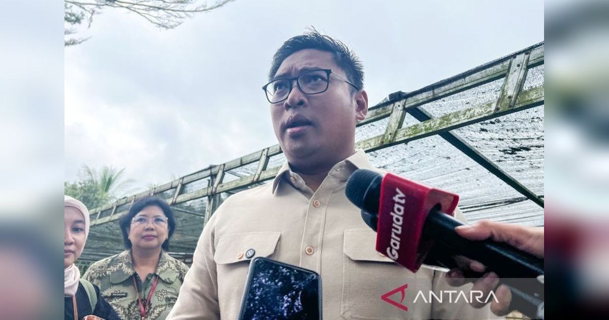 Skema Filial: Solusi Atasi Gudang Bulog Penuh Saat Panen Raya