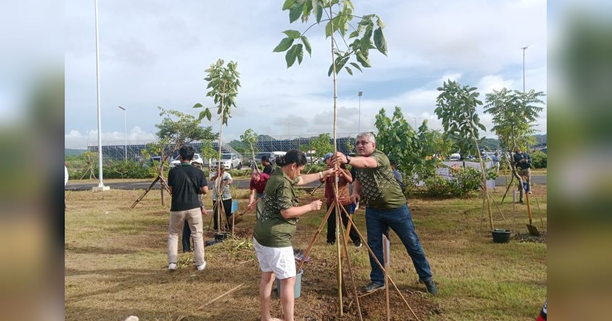 Delegasi IGS Tanam Pohon di Mandalika: Dorong Pariwisata Hijau dan Investasi