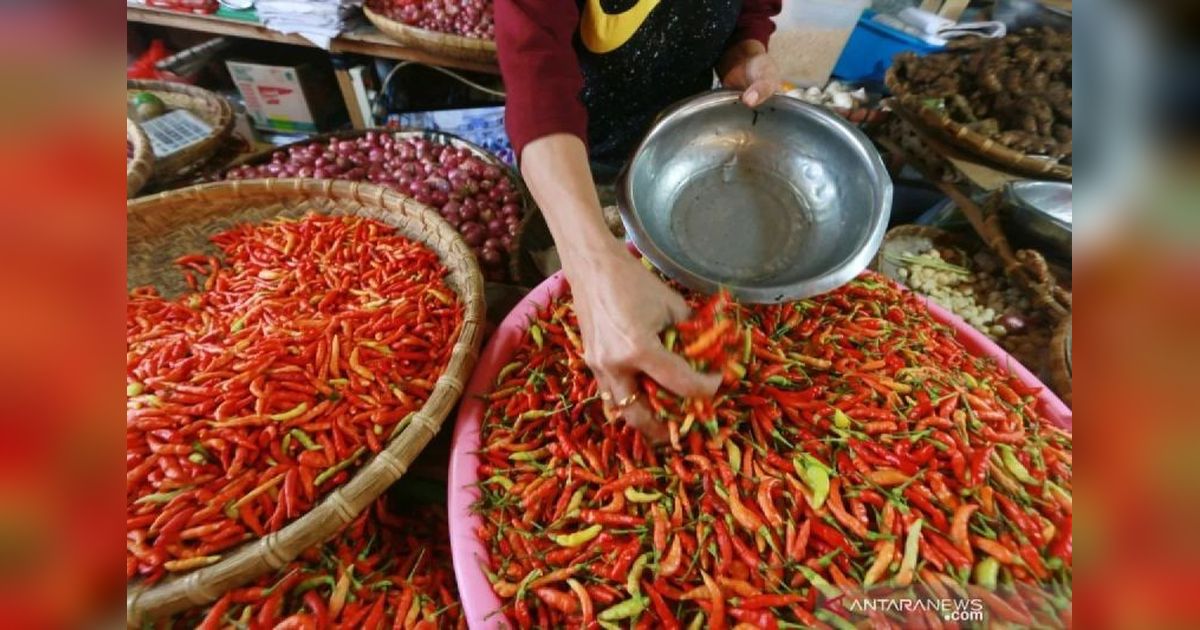 Harga Daging Ayam dan Cabai Rawit Naik, Catatan Bapanas Hari Ini