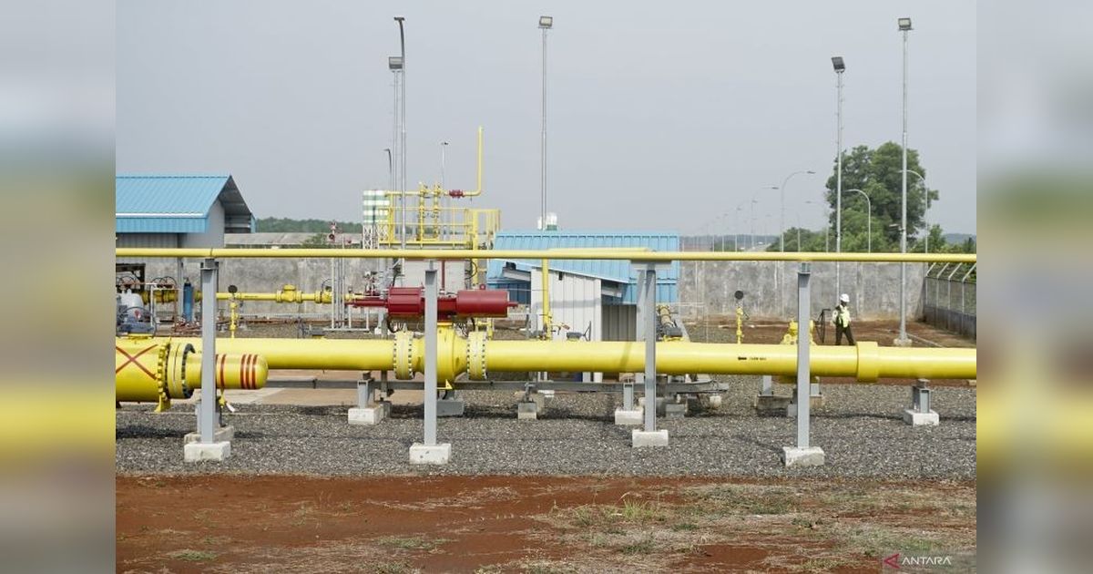 Implementasi Suplai Gas Industri Butuh Perbaikan, Kata Waketum Kadin