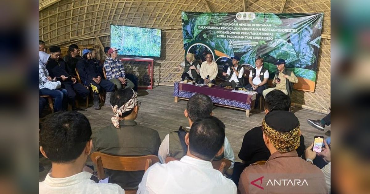 Menhut Dukung Regenerasi Petani Kopi Garut Lewat Sekolah Lapang