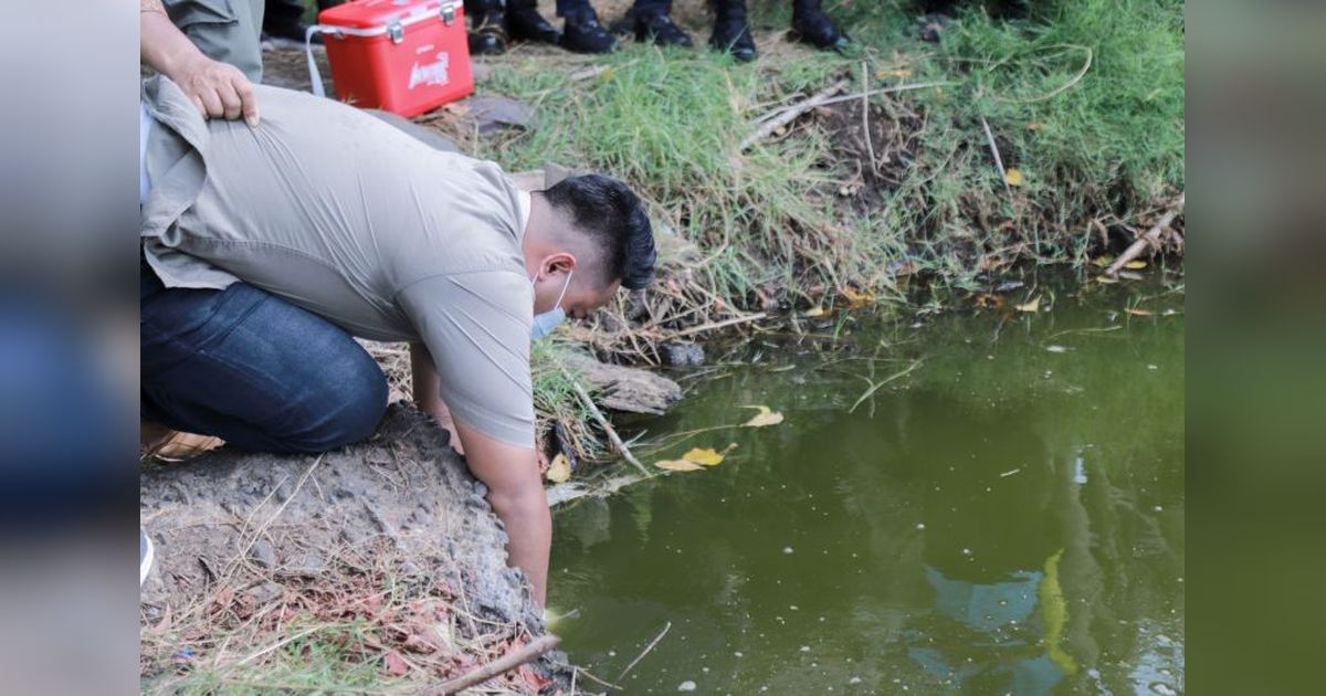 Pemkab Jember Usut Pencemaran Limbah di Desa Mayangan: Sampel Air Telah Diambil