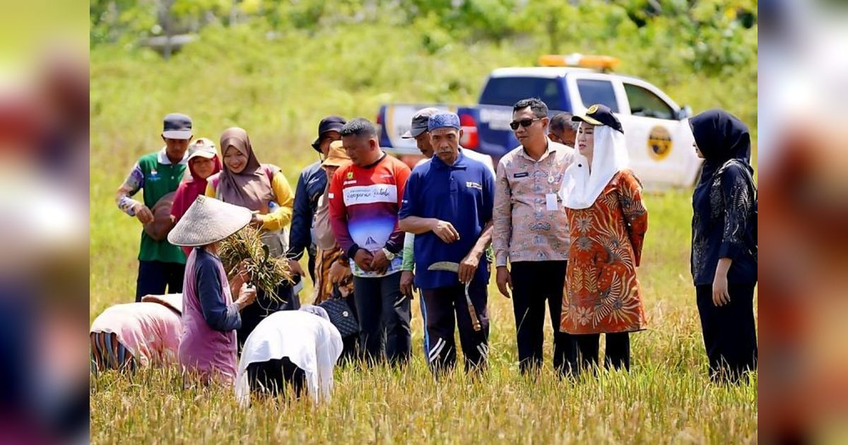 Natuna Tetapkan 342 Hektare Lahan Pertanian Pangan Berkelanjutan