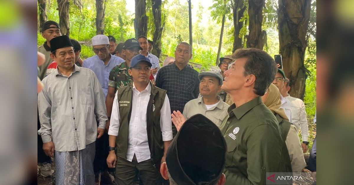 Menhut Tinjau Lahan Aren Garut: Dorong Produksi Bioetanol untuk Swasembada Energi