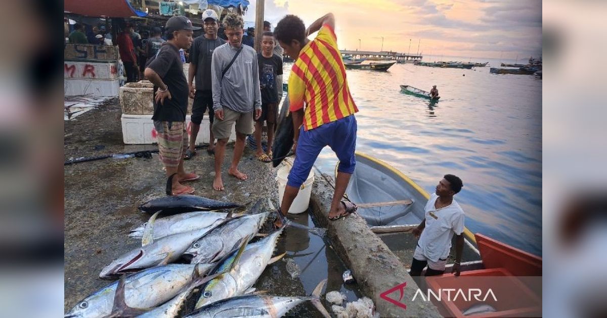Nelayan Jayapura Lampaui Target Produksi Ikan Tahun 2024: 45.085 Ton!