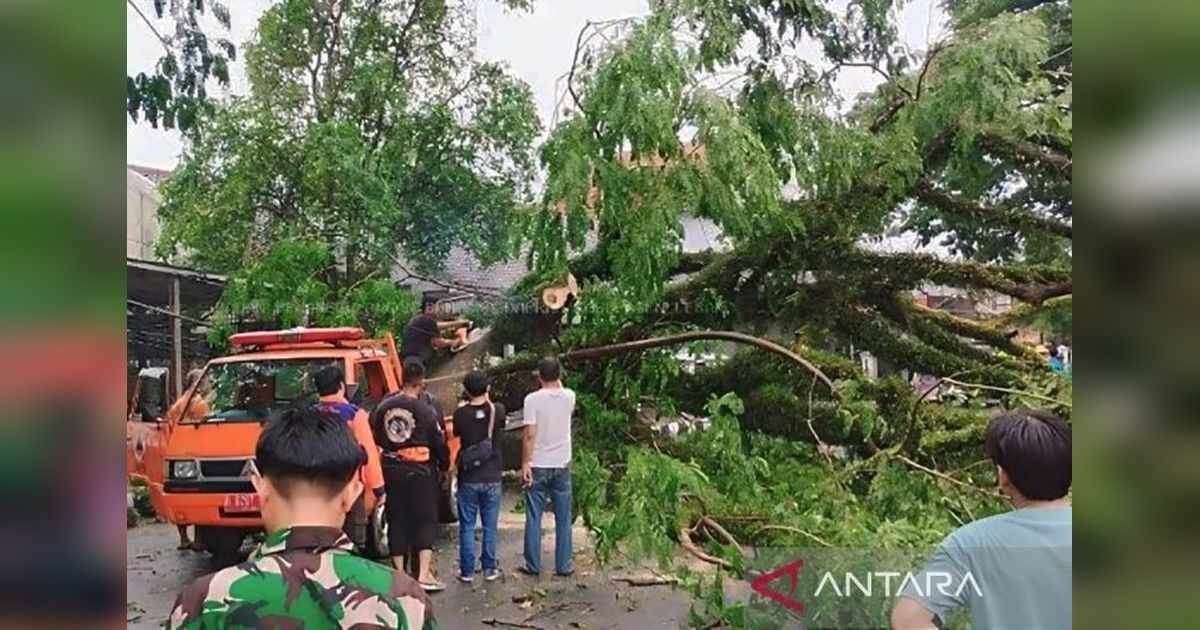 Waspada! BMKG Peringatkan Cuaca Buruk di Lebak dan Pandeglang