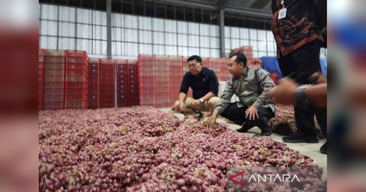 Harga Bawang Merah Turun, Daging Ayam Naik: Bapanas Catat Update Harga Pangan Terbaru