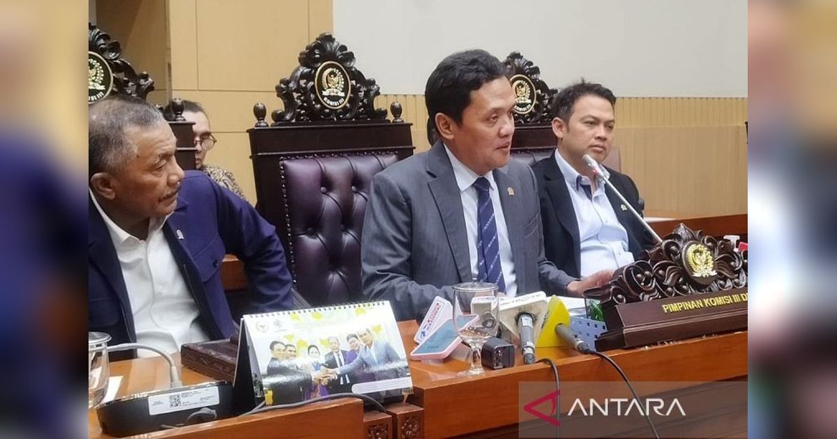 Mahasiswi ITB Ditangkap karena Meme Presiden, Komisi III DPR Ajukan Penjaminan