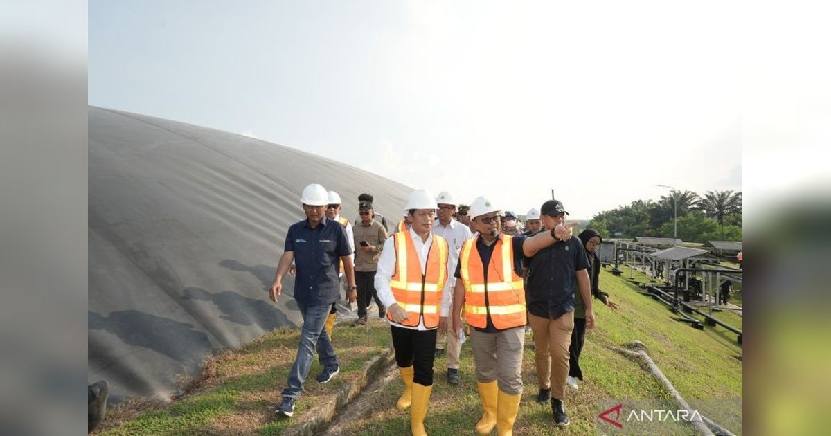 PalmCo Diajak Manfaatkan Perdagangan Karbon Internasional, Dorong Net Zero Emission 2060