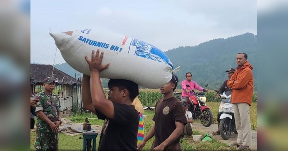 Bulog Banyumas dan Babinsa Tetap Serap Gabah Petani Saat Libur Waisak