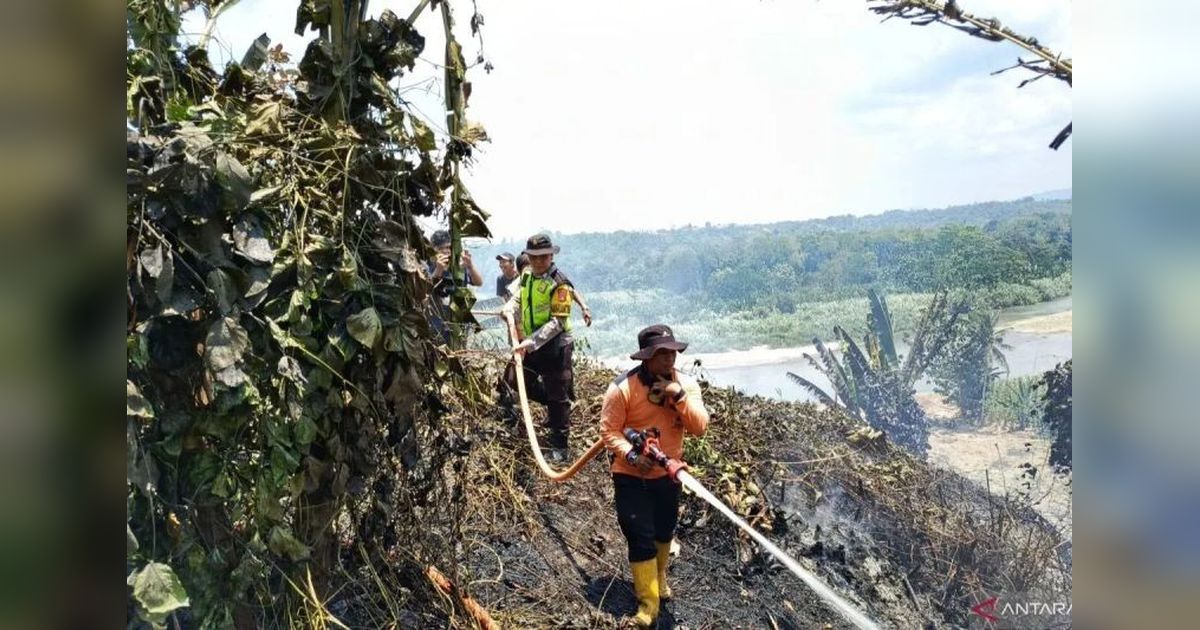 Waspada Karhutla! Tujuh Kabupaten di Sumsel Masuk Zona Rawan Kebakaran