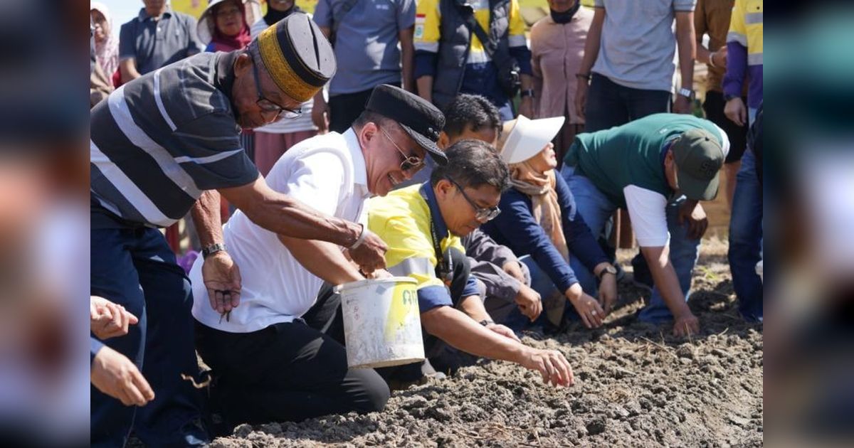 Wali Kota Palu Dukung Peningkatan Produksi Bawang, Dampingi Petani di Kelurahan Tanamodindi
