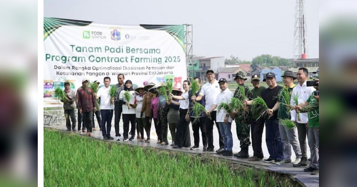 Pemprov DKI Jakarta Jalin Kerja Sama Pertanian Kontrak di Rorotan, Targetkan Swasembada Pangan