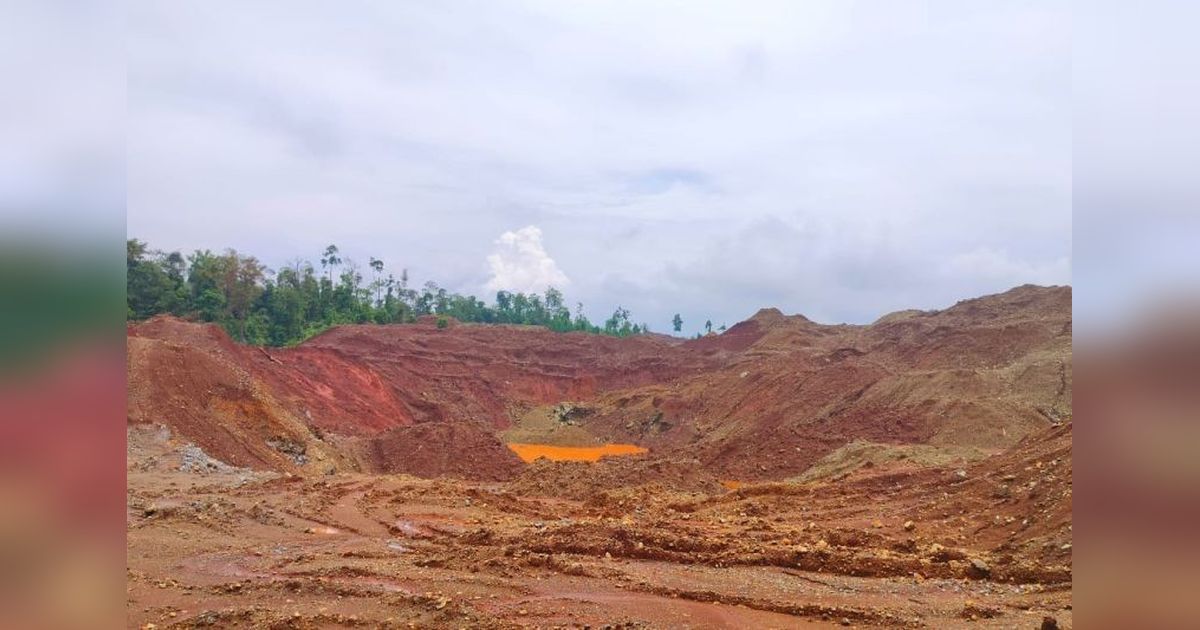 AMS Desak Pemerintah Tindak Tambang Nikel Ilegal di Morowali