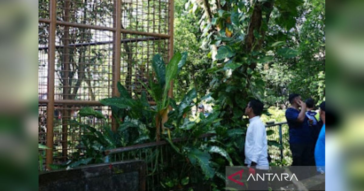 Kebun Binatang Jahri Saleh Banjarmasin Memprihatinkan, Wali Kota Minta Perbaikan Segera!
