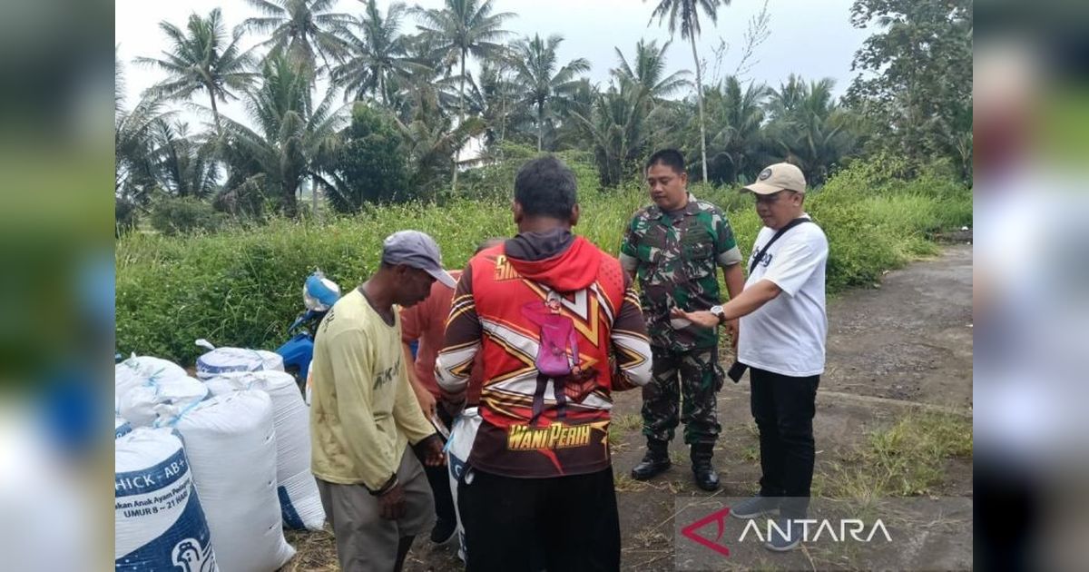 Bulog Magelang Sewa Gudang Tambahan, Serap 25 Ribu Ton Gabah Petani