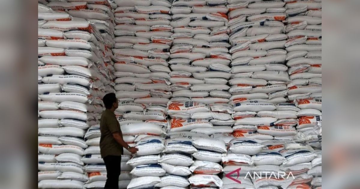 Indonesia: Produsen Beras Terbesar ASEAN, Stok CBP Tembus 3,7 Juta Ton!