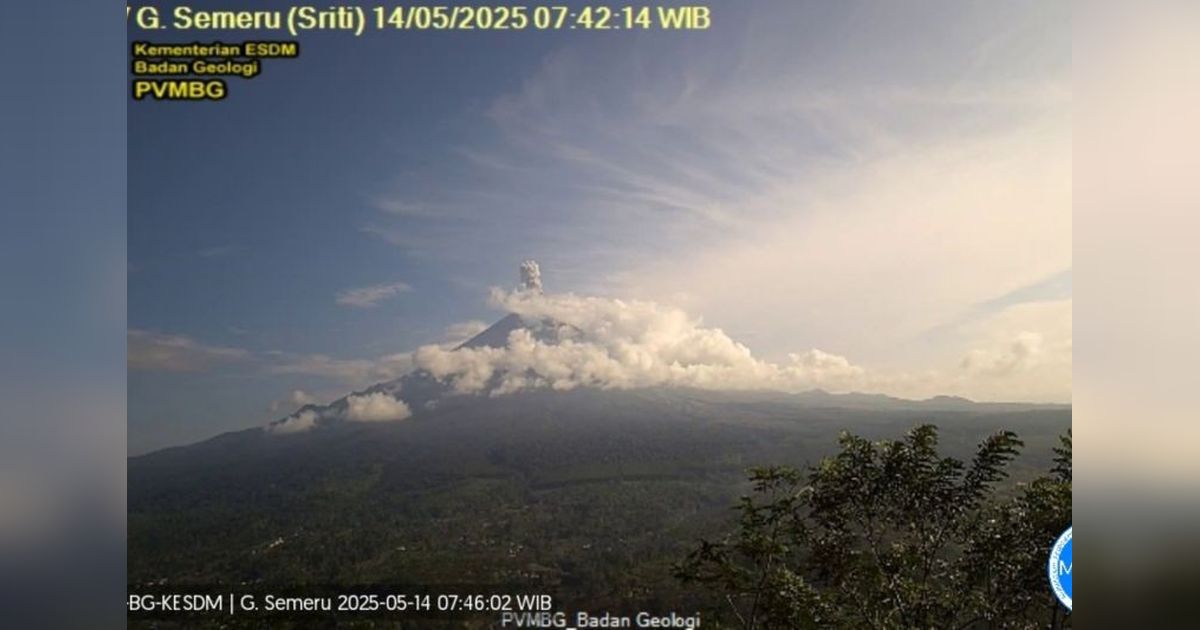 Semeru Erupsi! Letusan Capai 1000 Meter, Warga Diminta Jauhi Zona Bahaya
