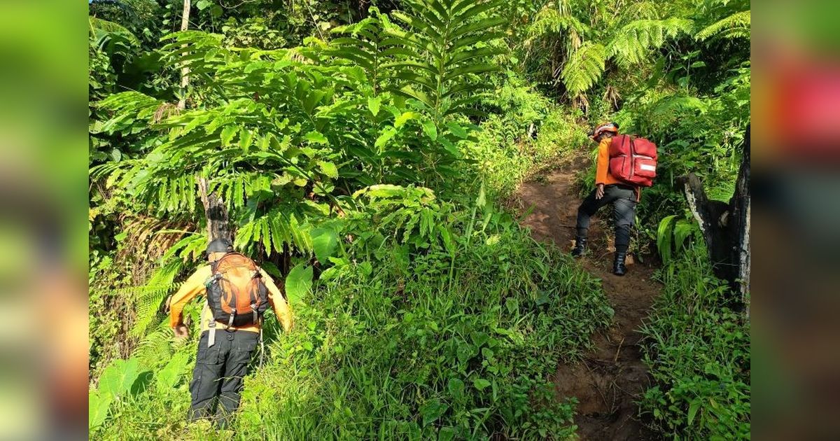 Remaja Hilang Saat Mendaki Gunung Gamalama, Tim SAR Ternate Terjunkan Tim Pencarian