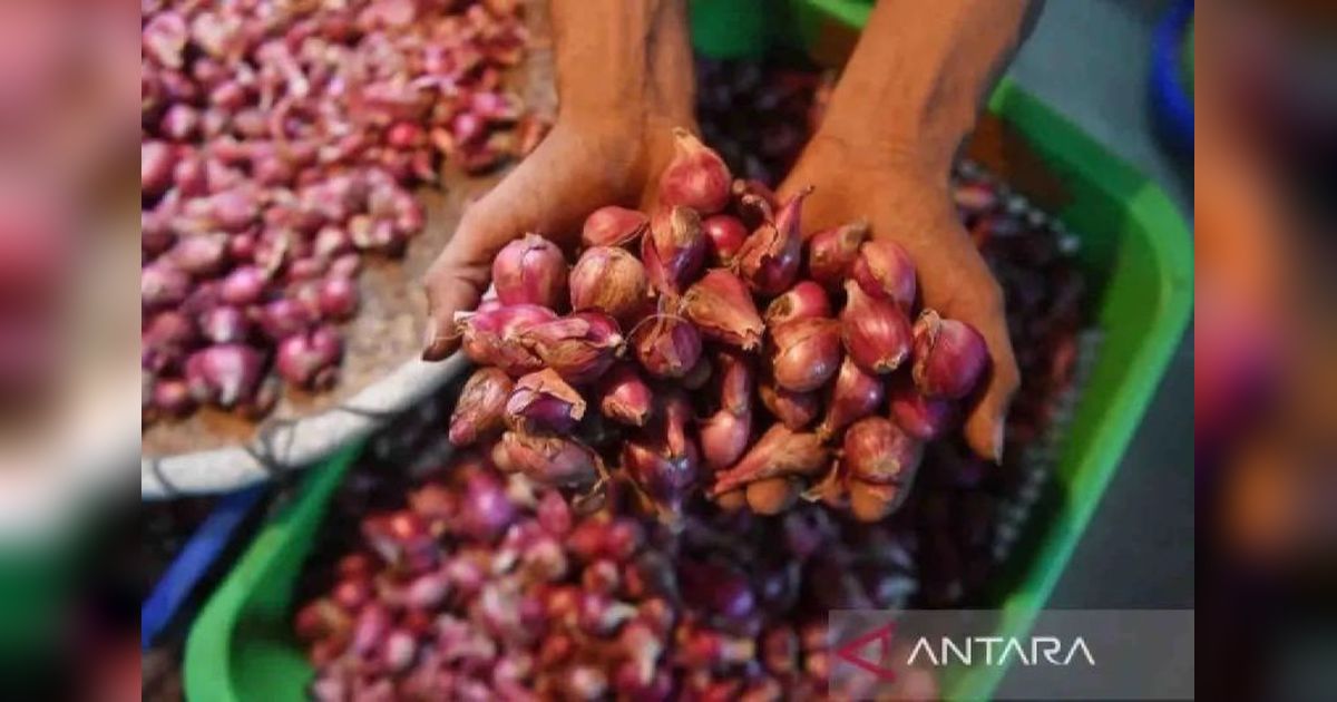 Harga Bawang Merah Turun! Bapanas Catat Harga Pangan Terbaru di Indonesia