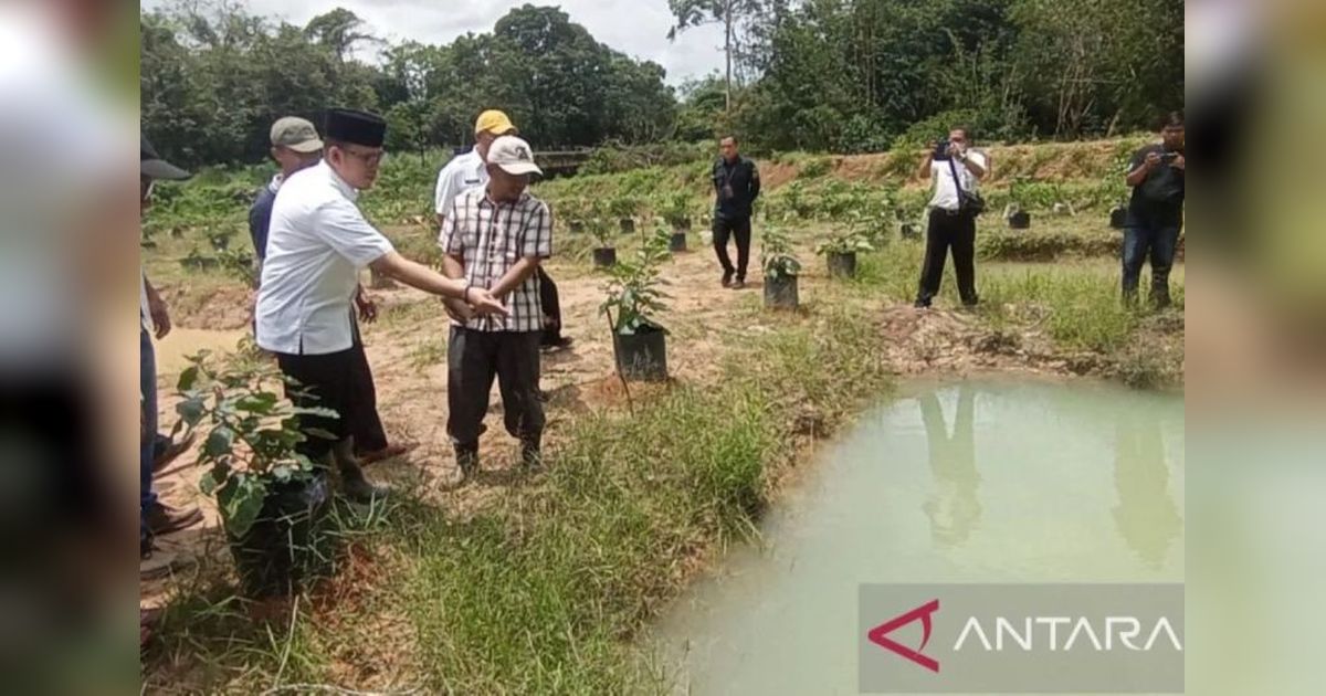 Desa Martajaya OKU, Kampung Budi Daya Ikan Gabus untuk Tingkatkan Ekonomi Masyarakat