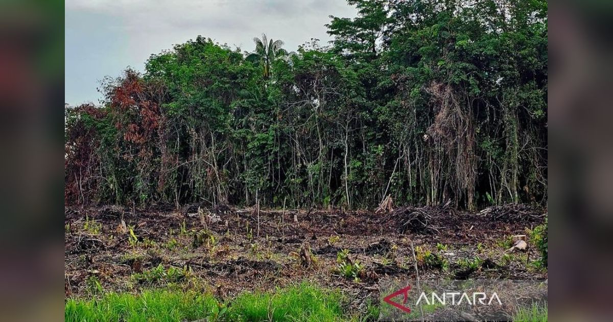 Pemkab Natuna Siapkan Lahan 1,9 Hektare untuk Relokasi Warga Kumuh