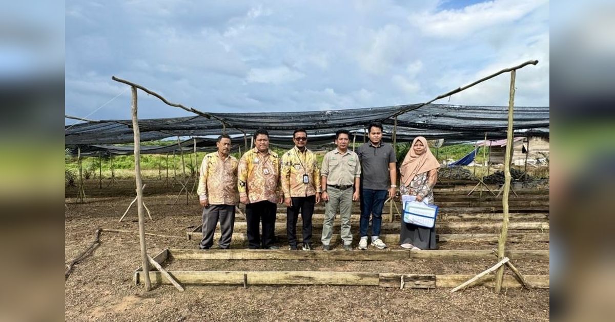 Kalsel Sediakan Layanan Rekomendasi Izin Usaha Produksi Benih Sawit untuk Tekan Peredaran Ilegal