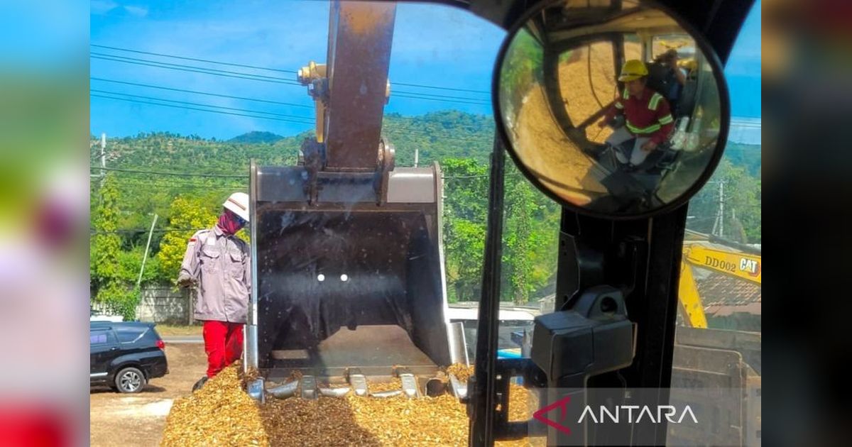 Cofiring Biomassa PLTU Paiton: Buka Lapangan Kerja dan Dongkrak Ekonomi Warga