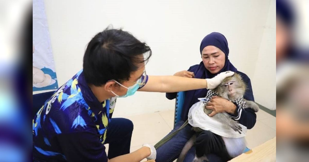 Vaksinasi Rabies Gratis di Tangerang: Lindungi Hewan Kesayangan Anda!