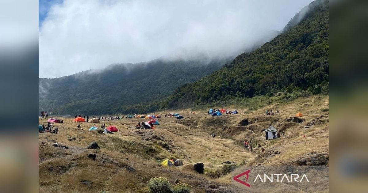 Pendaki Gunung Gede Capai 600 Orang Per Hari, Antrean Panjang Tak Terhindarkan