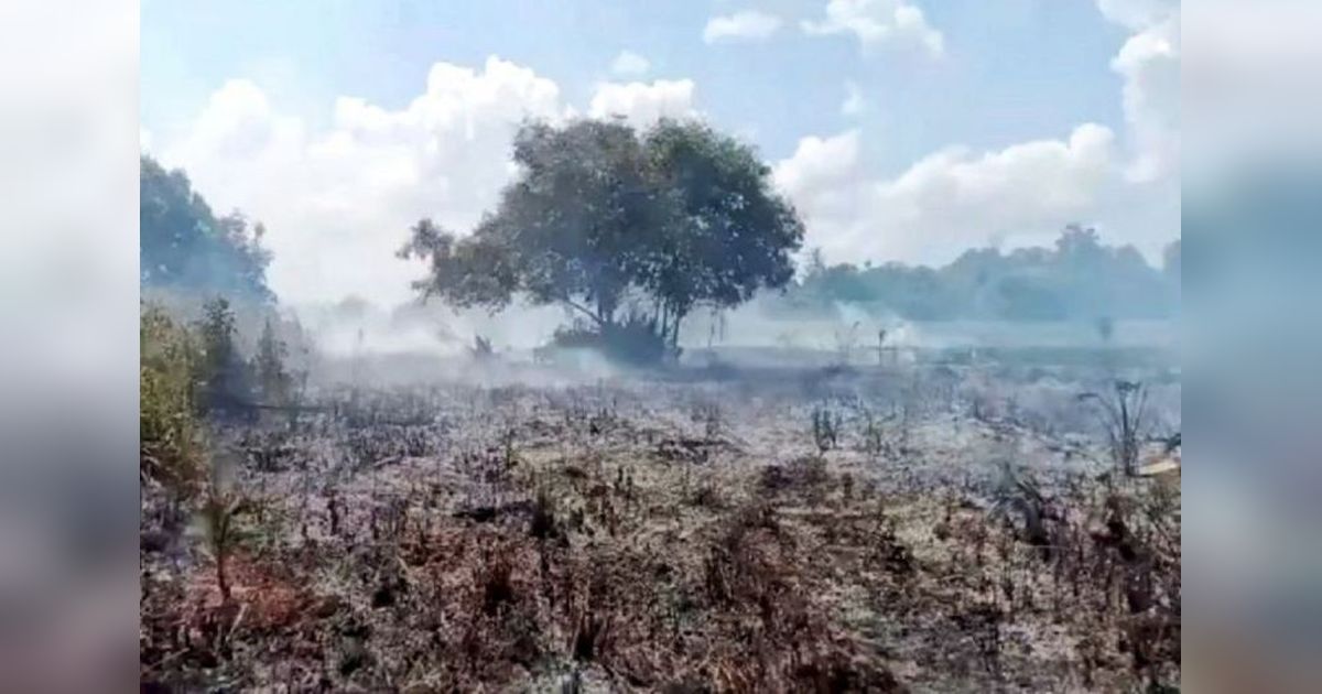 Siaga Karhutla: BPBD Kobar dan Kalteng Siap Hadapi Ancaman Kebakaran Hutan