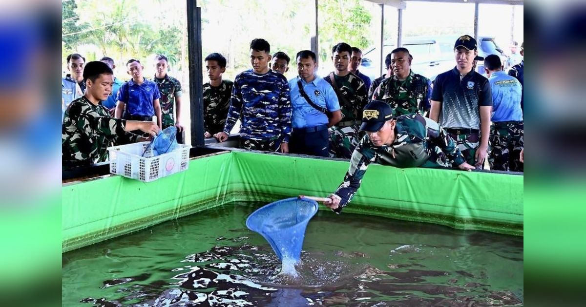 TNI AU Natuna Sukses Budidaya Ikan, Penuhi Kebutuhan Protein Prajurit