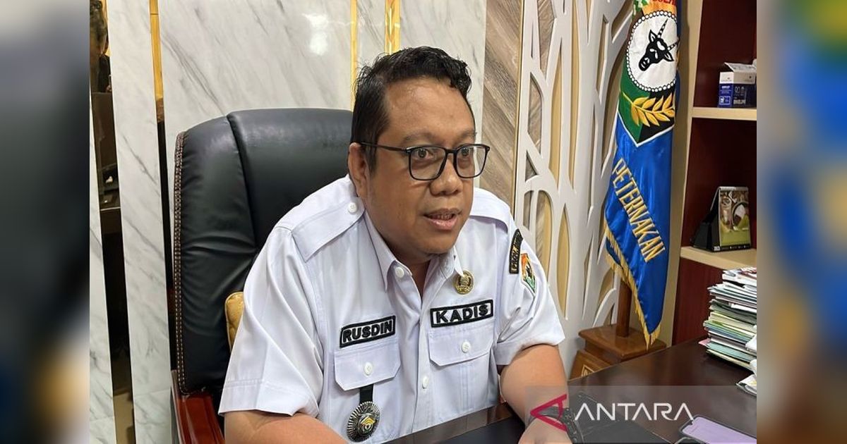 Sulawesi Tenggara Catat Rekor Produksi Gabah Kering Panen: Tembus 96.621 Ton!