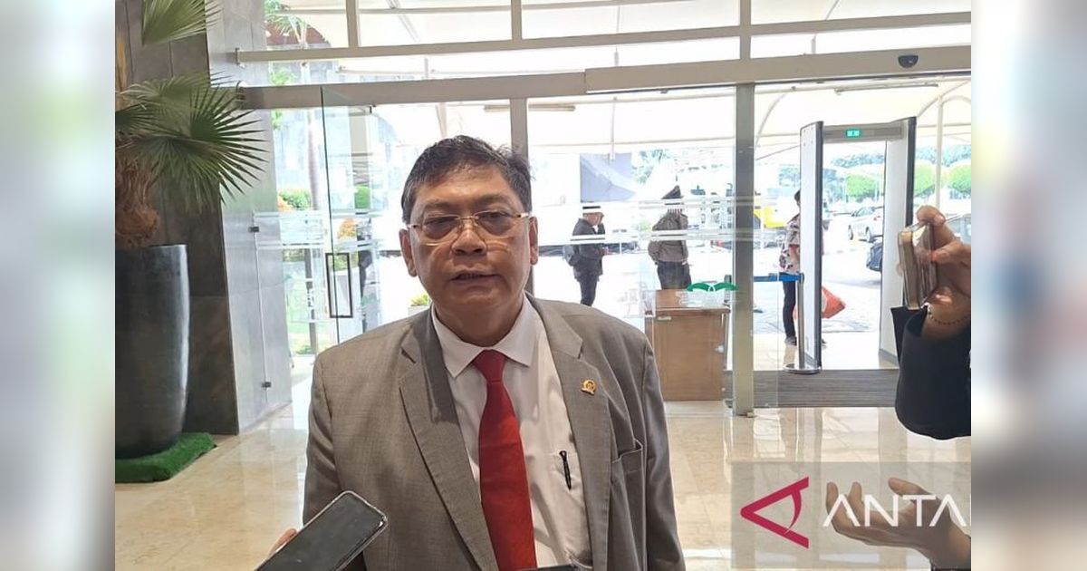 DPR RI dan Parlemen Ceko Bahas Peningkatan Hubungan Bilateral