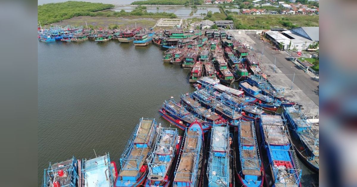 VMS: Kunci Keberlanjutan Perikanan Indonesia?
