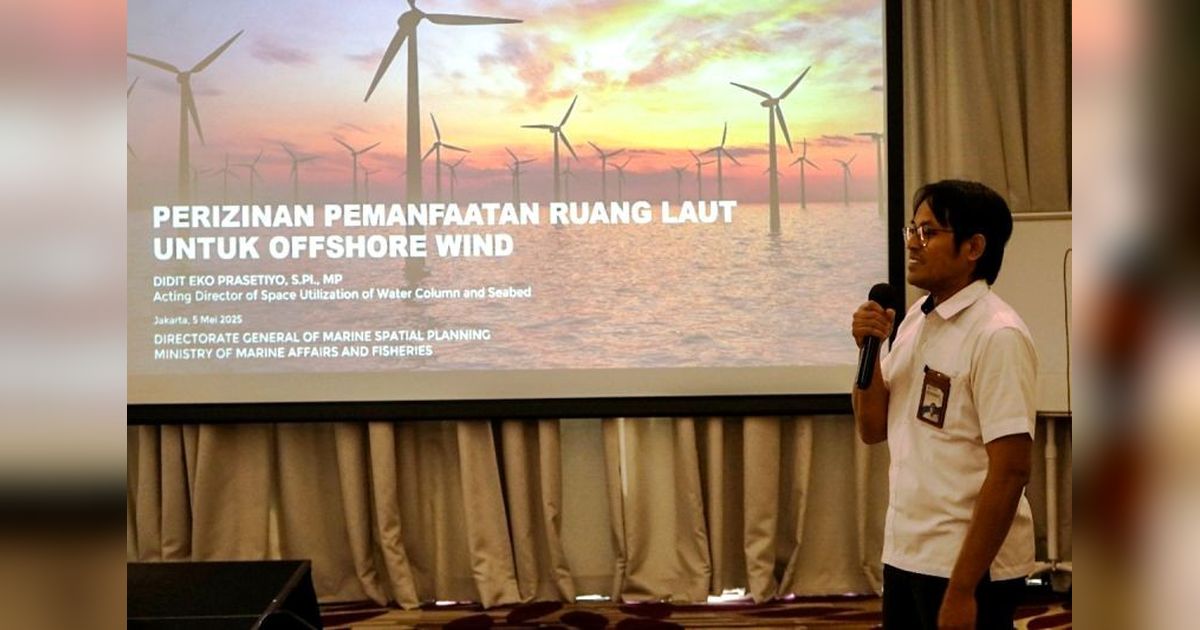 Indonesia dan Denmark Jajaki Potensi Energi Angin Lepas Pantai