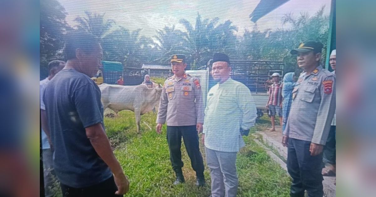 Pasaman Barat Periksa Kesehatan Hewan Ternak Jelang Idul Adha: Waspada PMK!