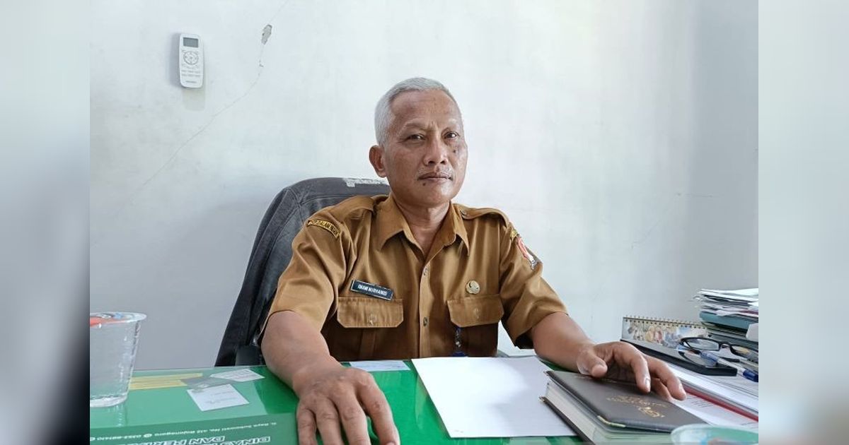 Lahan Tembakau Bojonegoro Melonjak 3.000 Hektare di 2024!