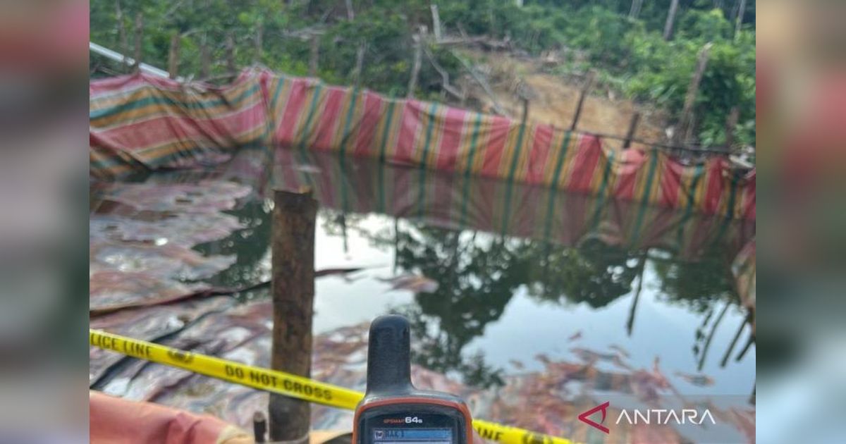 Polda Jambi Usut Dugaan Oknum Polisi Terlibat Sumur Minyak Ilegal