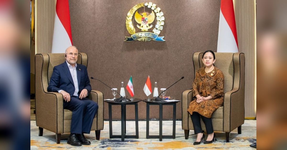 Puan Maharani Jajaki Kerja Sama Ekonomi dan Perdagangan dengan Tiga Negara OKI