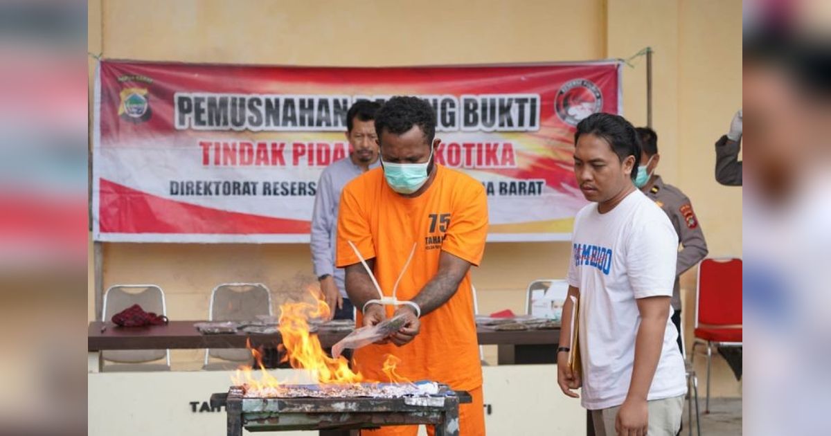 Polda Papua Barat Musnahkan 353 Gram Ganja, Seorang Pelaku Masih di Bawah Umur