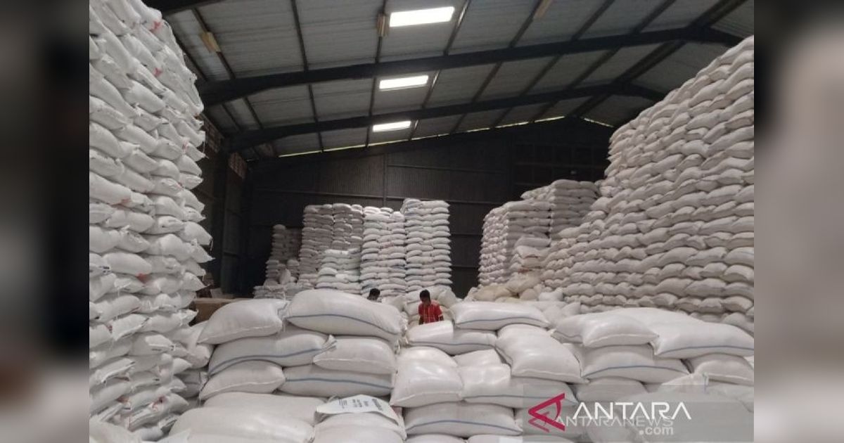 Surplus Beras Indonesia: Wamentan Kaji Bantuan untuk Misi Kemanusiaan Global