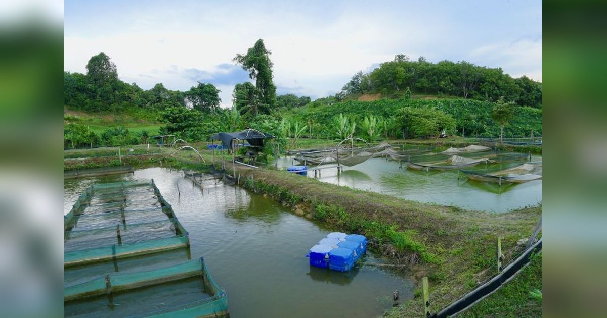DPR Tekankan Restorasi Ekologis Pascatambang: Pemulihan Lingkungan, Bukan Sekadar Penutupan Lubang