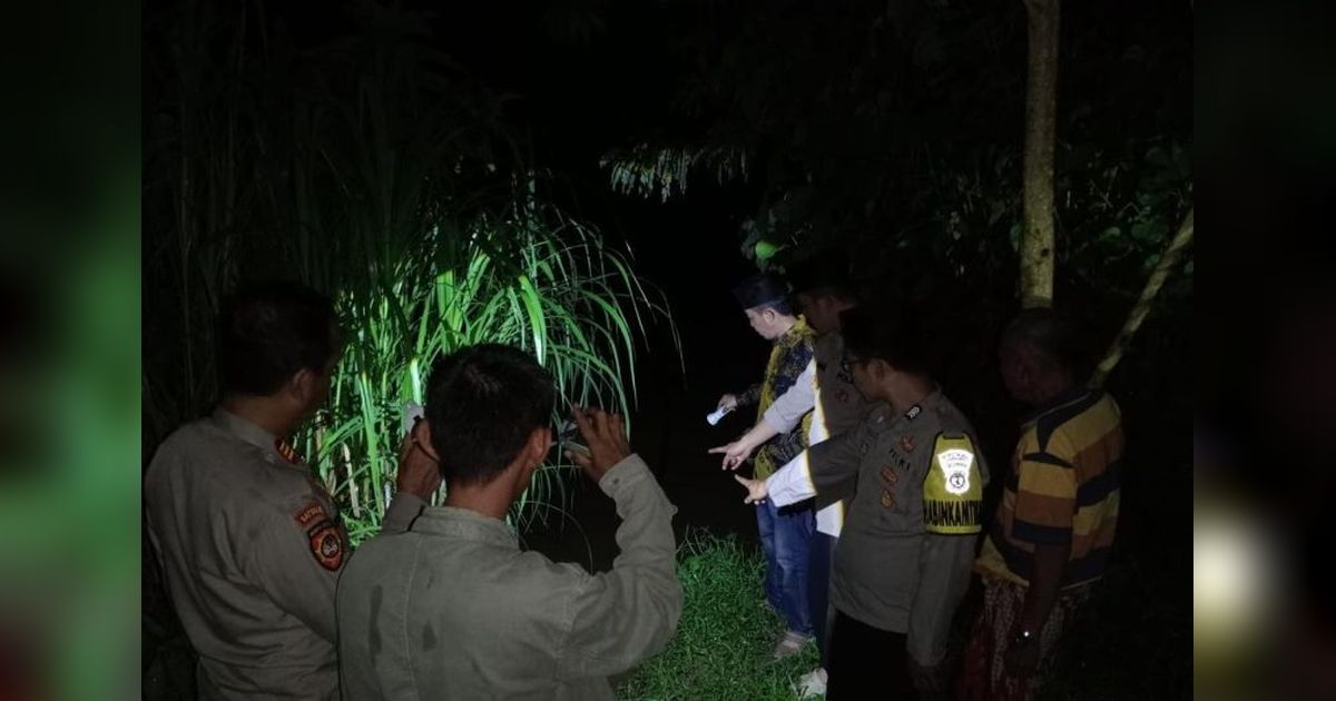 Ibu Rumah Tangga di Tanggamus Diserang Buaya Saat Mandi di Sungai