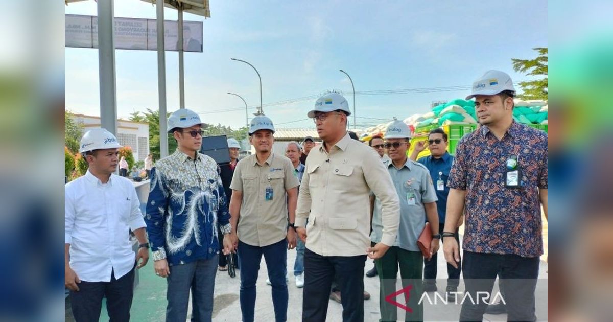 Bulog Sukses Serap Gabah Petani, Wamentan Apresiasi Cadangan Beras Tertinggi Sepanjang Sejarah