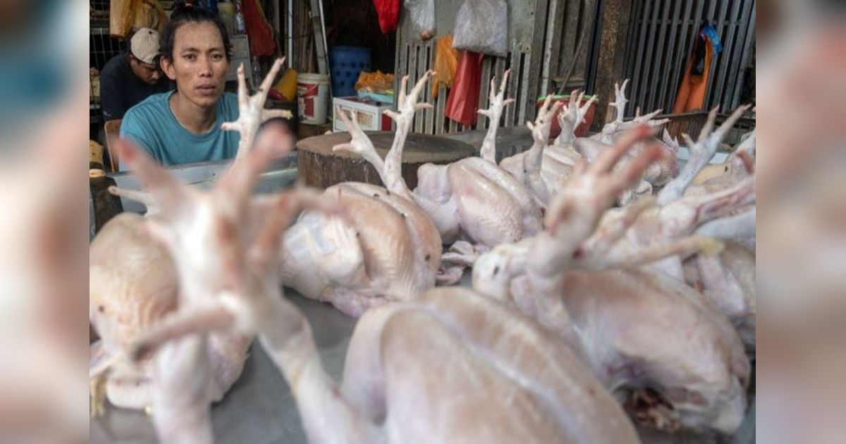 Pemkot Palu Sukses Jaga Stabilitas Harga Bahan Pokok Pasca Lebaran