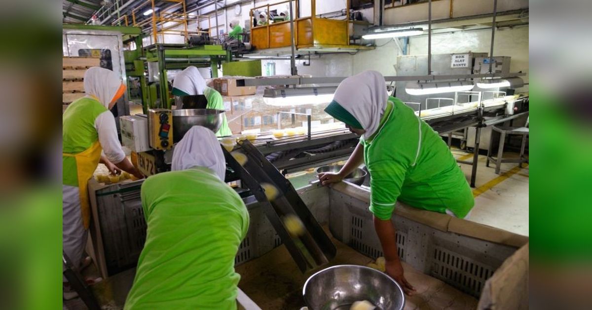 Kadin Desak Pemerintah Perkuat Industri Nasional, Dorong Pertumbuhan Ekonomi